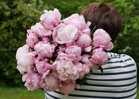 Purely Peonies
