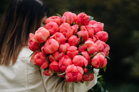 Peony Season Is Here!